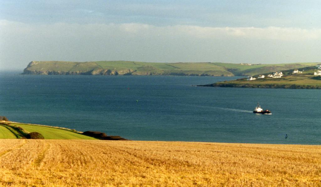 Lellizzick Bed And Breakfast Padstow Dış mekan fotoğraf